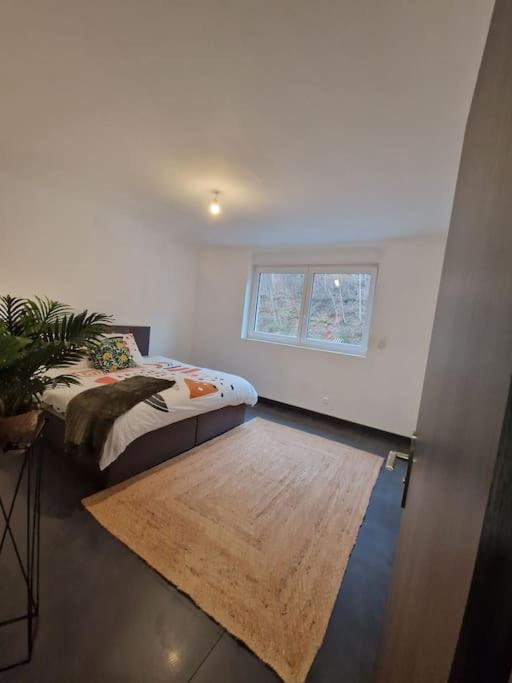 Duplex-Cocon-Proximite - Piscines Thermales -Sauna Hombourg-Haut Extérieur photo